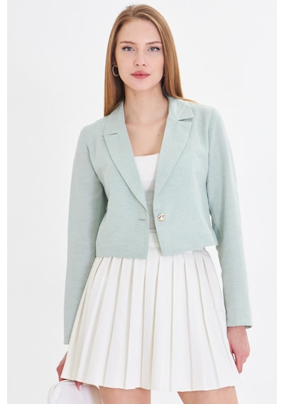 Armonika Kadın Mint Tek Düğmeli Crop Ceket Arm-23y001064