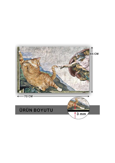 Monnhein Kedi Köpek Komik Tasarımlı Dekoratif Kapı Önü Paspas, Dış Mekan/ev İçi/banyo/mutfak/yatak Odası/giri Çok Renkli
