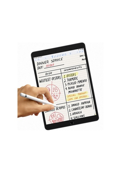 Ally Apple Uyumlu iPad Pro/Air 3.10.5 İnch Paper Like Film Darbe Emici Pet Ek