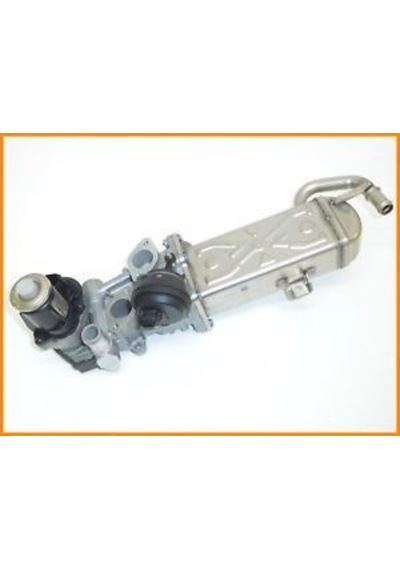 EGR VALFI CADDY GOLF VI- PASSAT A3 LEON 10- 1.6 TDI CAYB-CAYC-CAY