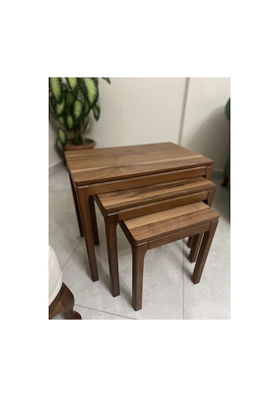 Ant Home Mono Zigon Sehpa Üçlü Lüx %100 Ağaç Lake Boyalı Sehpa Ceviz