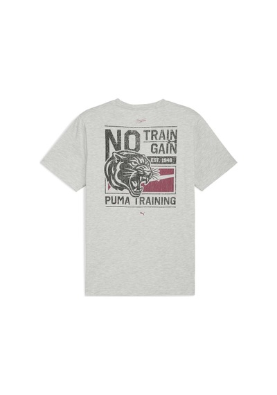 Puma Graphıc Erkek Antrenman Tişörtü 527628 04 Gri