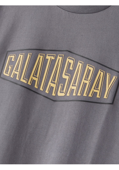 Gsstore Galatasaray Erkek T-shirt E252097 Antrasit