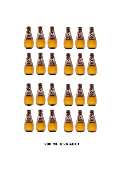 Avşar Sirkeli Maden Suyu 200 Ml X 24 Adet