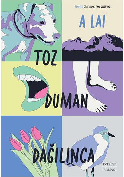 Toz Duman Dağılınca