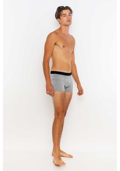Redowl Baykuş Baskılı Gri 2'Li Boxer Gri