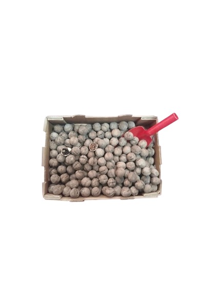 Yerli Ata Tohumu Topak Cinsi Yağlı Kabuklu Ceviz 1 KG