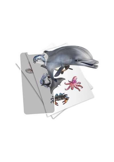 Holotoyz Sticker Super Sea Creatures Ar Uyumlu Etiket