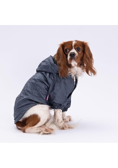 Pettrend Antrasit Mont Köpek Mont Köpek Kıyafeti Köpek Yağmurluğu