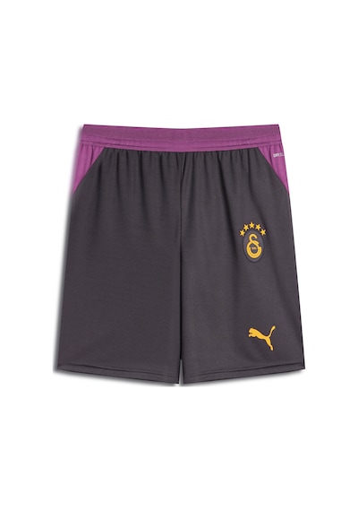 Puma Galatasaray 2026/27 Erkek Gri Futbol Şort 78502305
