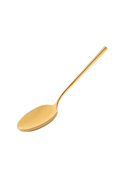 Jumbo 1001 Titanyum Gold 5 Parça Servis Seti Çelik
