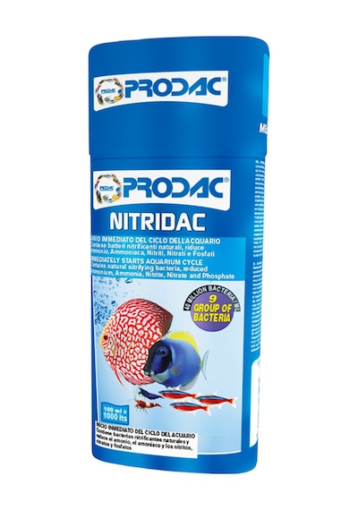 Prodac Nitridac Bakteri Kültürü 500ml