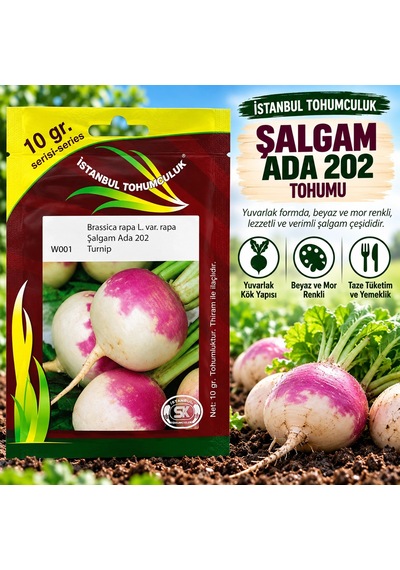 Şalgam Ada 202 Tohumu 10 Gr