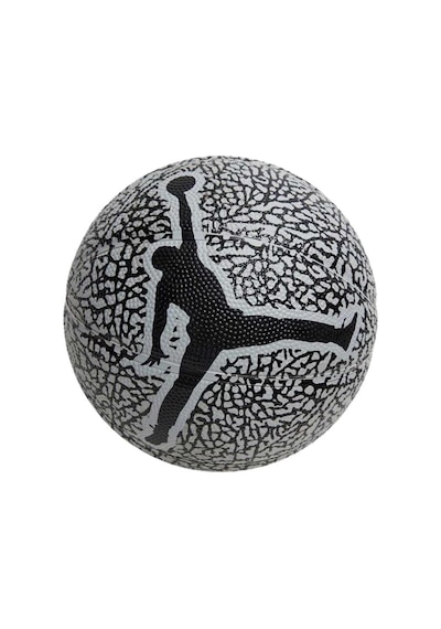 Nike Jordan Skills 2.0 Graphic Unisex Basketbol Topu