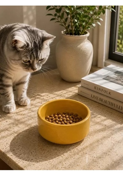 Hubrendy Sh Kase Model Beton Kedi Köpek Mama Ve Su Kabı 15cm Çap 5cm - Bronz