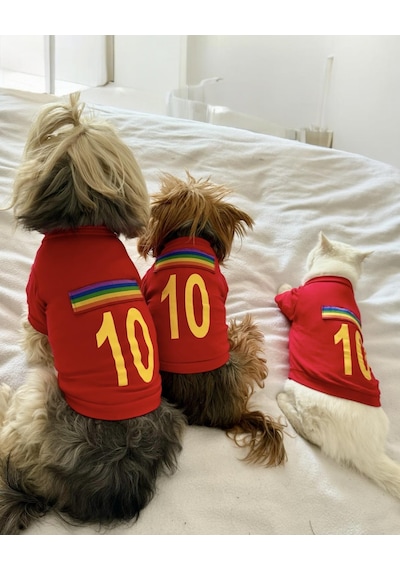 Kemique Uno Red Köpek Tişörtü
