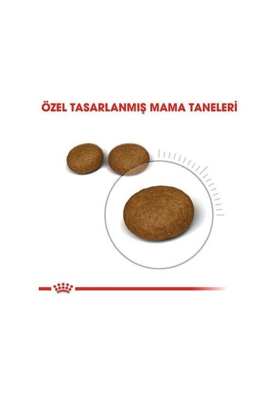 Royal Canin Hair & Skin Deri Ve Tüy Sağlığı İçin Kedi Maması 4 Kg