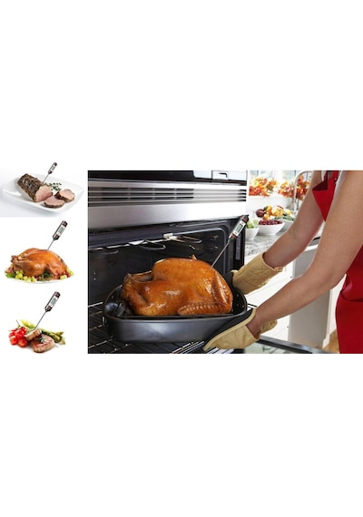 Aek-tech Wt-1 Dijital Saplamalı Yemek Termometresi N11.610