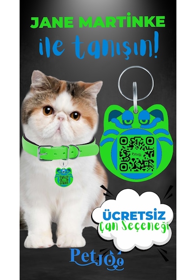 Petjoo 5.Jane Martinke Mavi-Yeşil Qr'lı Kedi Künyesi