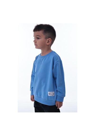 Erkek Çocuk Sarı Sweatshirt %100 Pamuk, Yumuşak Kumaş, Rahat Kalıp, Günlük Spor Stil Erntişört59. Mavi Erkek Çocuk Sarı Sweatshirt %100 Pamuk, Yumuşak Kumaş, Rahat Kalıp, Günlük Spor Stil Erntişört59. Mavi