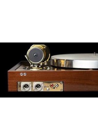 Pro-ject The Classic Reference Hg Acacia/brass Gold