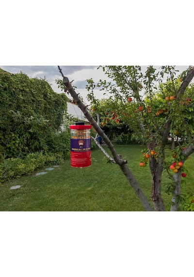 Ayrex 2 Adet Fly Jaıl / Long Jar, 1.5 Litre Kavanoz Tipi Karasinek Tuzağı