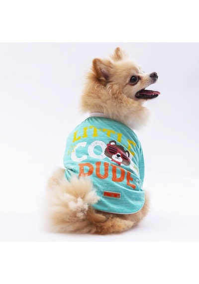 Pawstar Mint Dude Kedi Köpek Sweati Kıyafeti