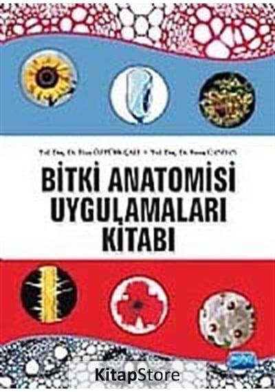 Bitki Anatomisi ve Uygulamaları Kitabı  - Feyza Candan  -  İlkay Öztürk Çalı  - Nobel Akademik Yayıncılık