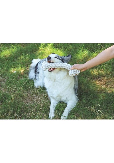 M-pets Coto Örgü Kemik Köpek Oyuncağı Beyaz 30 Cm 244-50012.01