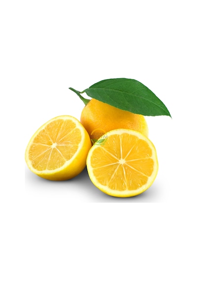 5 Yaş Aşılı 7 Veren Yediveren Mayer Limon Fidanı Xl Boy