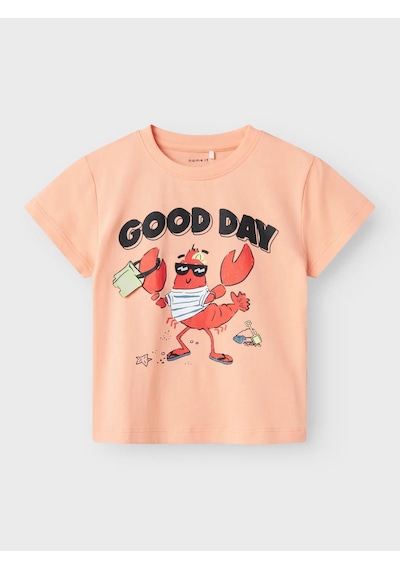 Name It Nmmfish Nreg Ss Top Box Unisex Çocuk T-shirt 13241295 Somon