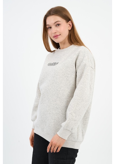 Alexander Gardi İçi Polarlı Baskı Detaylı Sweatshırt B23-37401 Gri