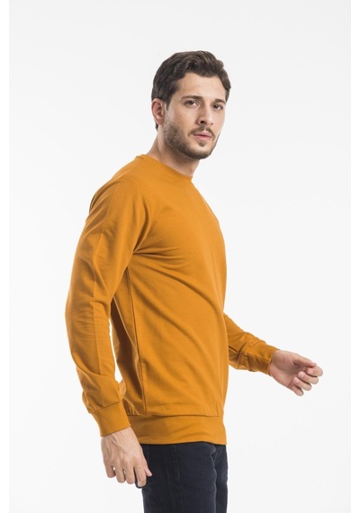 Erkek Bisiklet Yaka Regular Fit Sweatshirt Spr 20k30 001