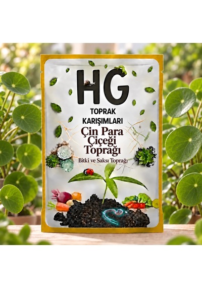 Hg Çin Para Çiçeği Pilea Saksı Toprağı 20 LT