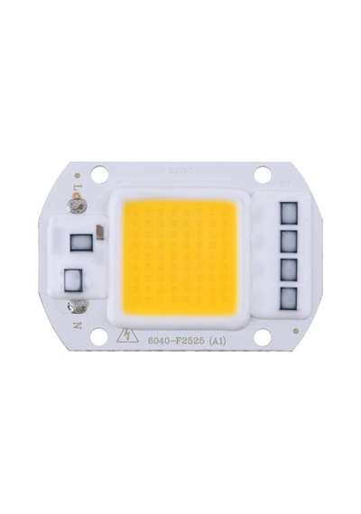 Gün Işığı 220V Projektör Cob Led 50W Driver Çipli