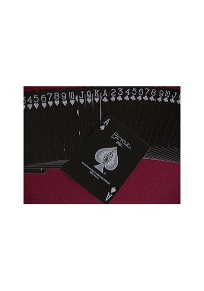 Bicycle Skull Metallic Silver Oyun İskambil Kartı