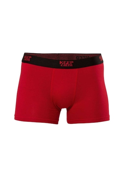 Anıt 10 Adet Bordo Renk Likralı Modal Boxer