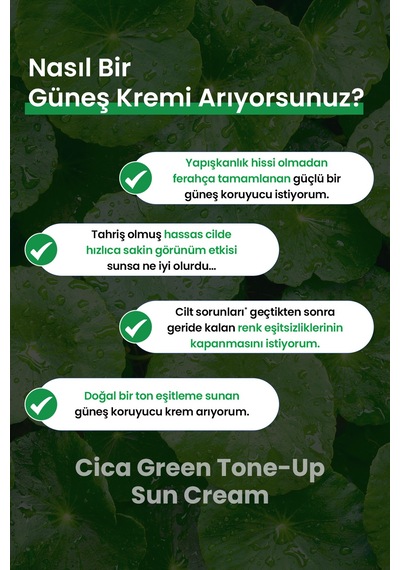 Hassas Cilde Sakin Görünüm Sunan Ton Eşitleyici Güneş Kremi Realbarrıer Cica Green Tone-up Sun Cream