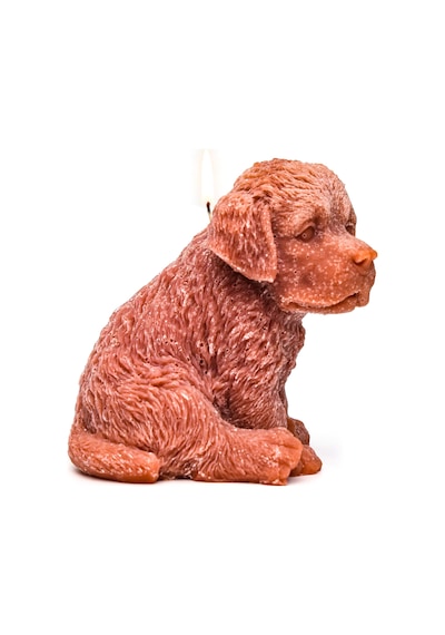 Büyük Kahverengi Köpek Mum