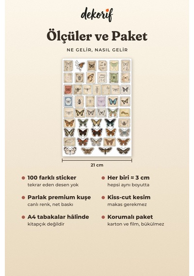 Kelebek Ve Güve Sticker Seti 100 Adet - Doğa Tarihi Antika Böcek Vintage Ajanda Journal Çıkartma Çok Renkli