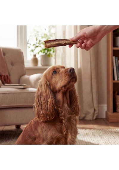 Ayrex Kito Kurutulmuş Dana Kuyruk Çiğnemelik Köpek Ödül Maması%100 Doğal, Glutensiz, Organik 100 Gr Dog Treat