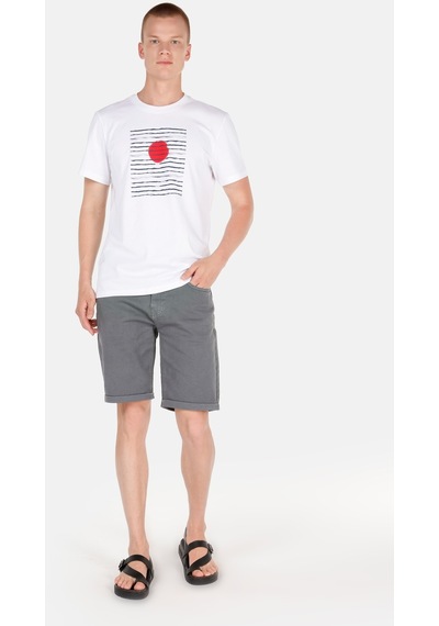 Colin's Colins Gri Erkek Şort Cl1069315 Q1.V1 Gra Gri