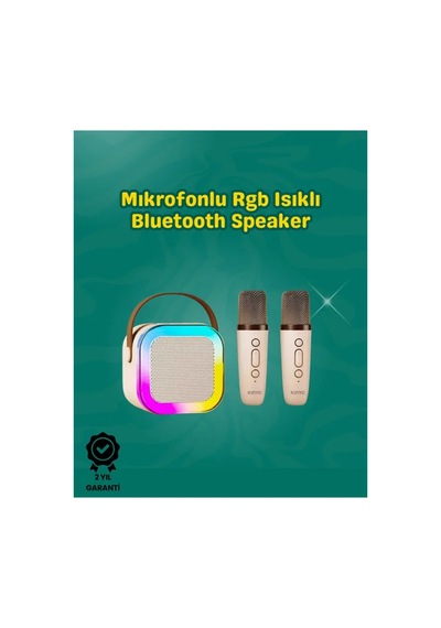 İki Krofonlu Renkli Led Işıklı Karaoke Cihazı Standart