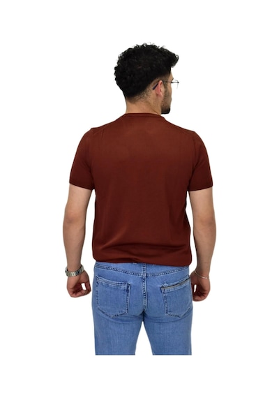 Raymons Erkek Triko Sıfır Yaka Tişört P6035 Bgl-st04505 Tarçın