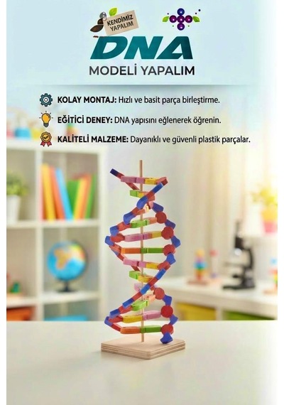 Kendin Yap 3 Boyutlu 72 Parça Dna Model Yapma Eğitici Öğretici Proje Ve Deney Yapım Setleri