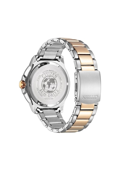 Citizen AW1524-84E Erkek Kol Saati