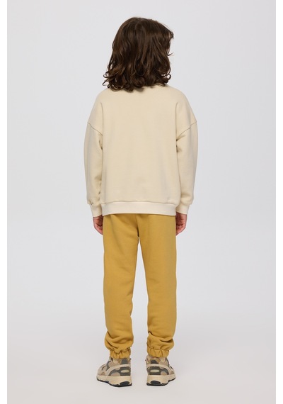 Panço Erkek Çocuk Baskılı Bej Sweatshirt Krem