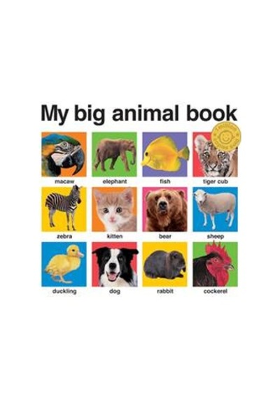 My Big Animal Book