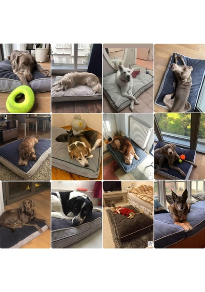 Lüks Dayanıklı Şönil Kumaş Visco Dolgulu Çift Taraflı Ve Fermuarlı Yıkanabilir Köpek Yatağı-xxl 85x125x10c