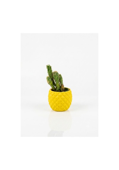 Dekoratif Ananas Tasarım Mini Saksı, Geometrik Desenli Kaktüs Saksısı